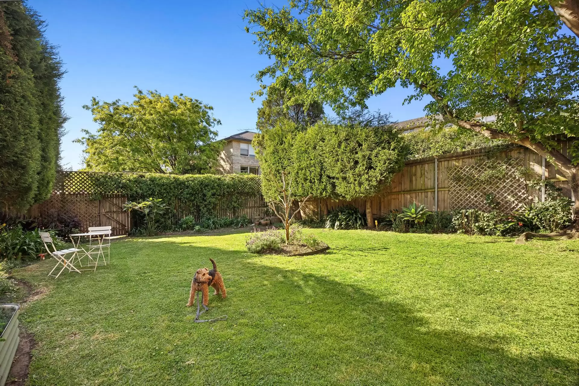 5/86 Shadforth Street, Mosman Sold by Galetto Real Estate - image 10